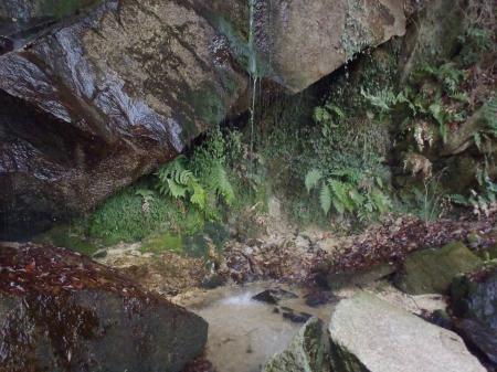 人があまり入らないせいか、ちょっと神秘的な滝だった