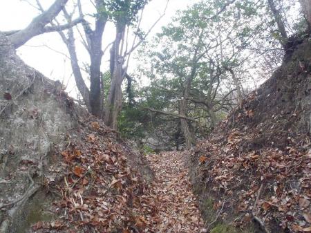 尾根に到着。左への下りは旭山。とりあえず右へ