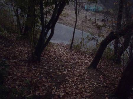 旭山から尾根を下ると左手に下れる場所があるので左へ