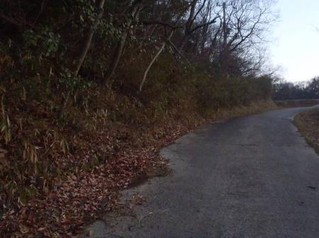 星田新池のちょうど手前のところに出る