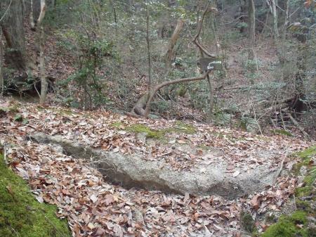 地図上ではこれを左。右にいくとおそらく前回の広望丘の尾根にいくはず