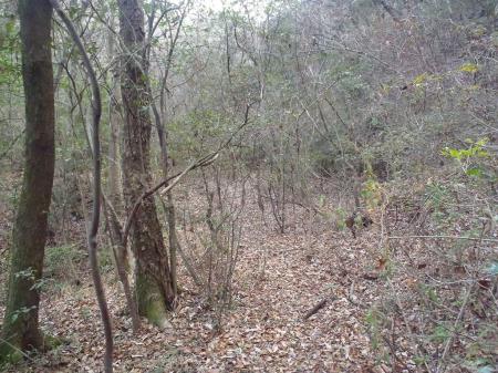 ほとんど踏み跡なし