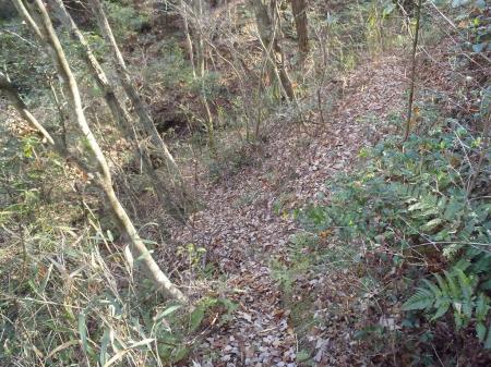 左へにいくと沢筋にはいったがここで間違いだと気づいた