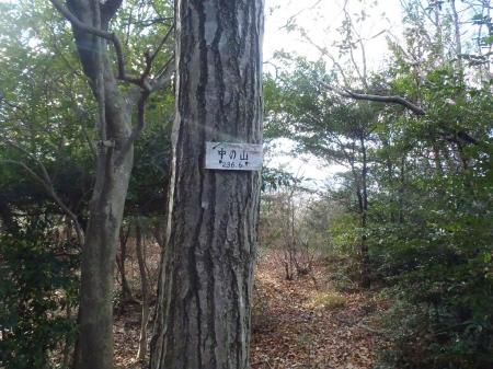 中の山に到着だが、標高が間違えてる！？