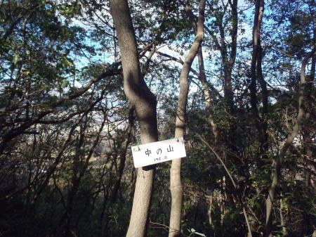 その先にいくとさらに中の山(196.0m)のプレートがあった。こっちが正しい