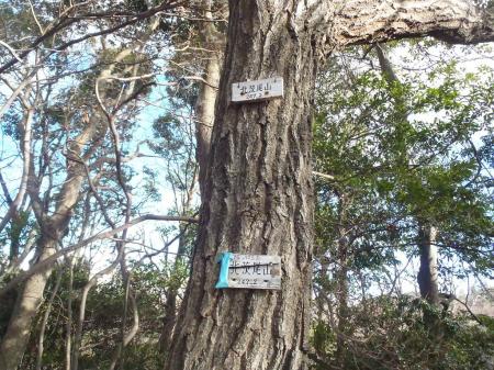 北茨尾山(247.2m)に到着