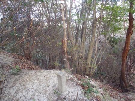 地蔵谷山より妙見宮のほうへ下れるが、かなり戻ってしまうのでこの付近で無理に谷へ