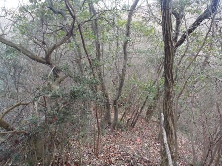 これを無理矢理？下って谷へ。そのわりには踏み跡があった