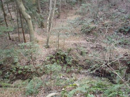 いつもの！？知ってる谷へ下りた。これ左へいき正規ルートの分岐を右へあがる