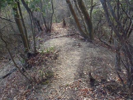 菖蒲が滝山より少し進むと右にいける分岐があるので右へ