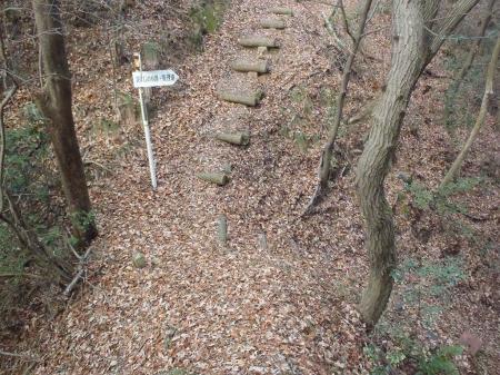 このまま尾根をいく