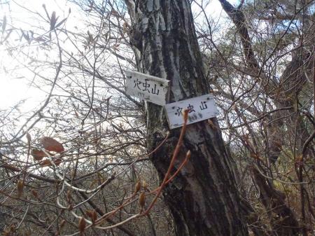 穴虫山(213.5m)に到着