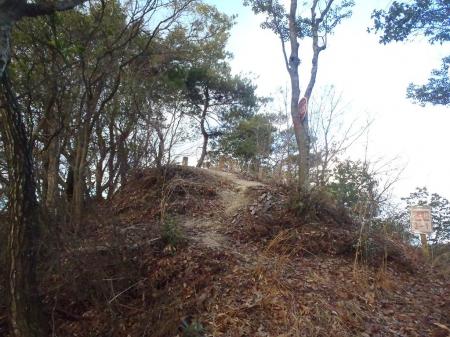 これが日南山のピーク