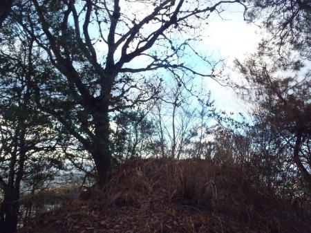 この付近が南谷山(192m)だがプレートがない