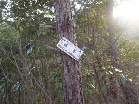 哮峰（たけるがみね）(187.8m)に到着