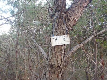 しかしさらに奥に進むとプレートがあった