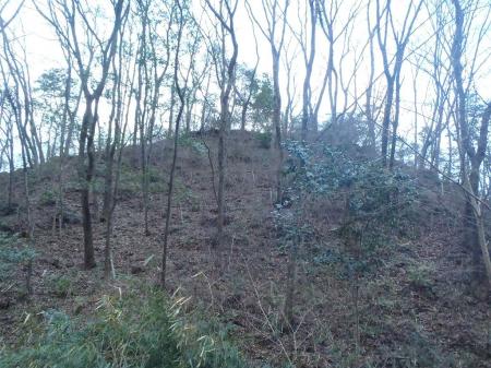 ピトンの小屋の後ろ側にあるピークへ登ると馬が嶺だが工事で入れなかった