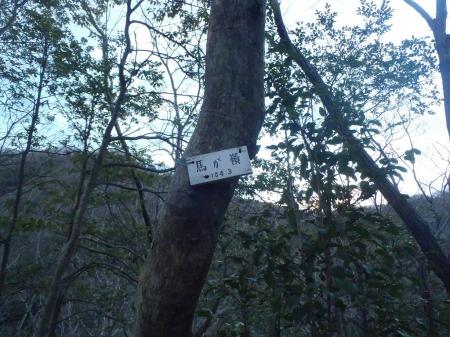馬が嶺(104.3m)※以前無理矢理に登ったときの画像