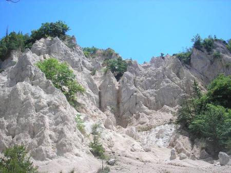 ここは撮影場所にもなってるところらしい