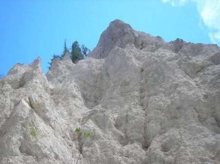 登った跡があったけど、誰かトレーニングでもしてたのかな！？