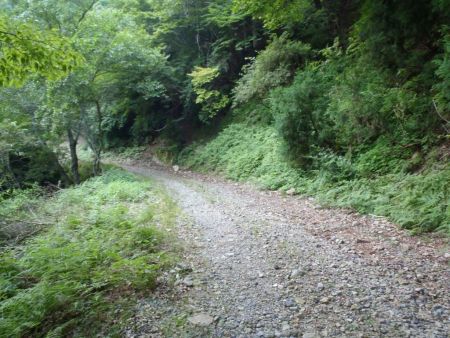 登山口付近の道路