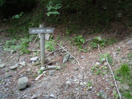 金ピラ峠ルートの登山口