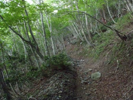 金ピラ峠までガレ場の登りが続く