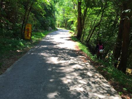 この付近で沢へ降りる踏み跡があった