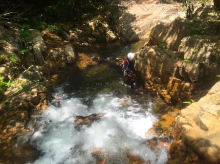 おぉ～沢登らしくなってきた