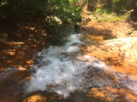 気温もあがってきて、こういうところ歩くのが気持ちいい～