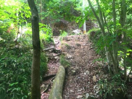 ここの巻きルートはほとんど林道にでればいい