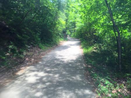 先のカーブ付近、小さく見えるのが墓石ぽく花が飾ってあった