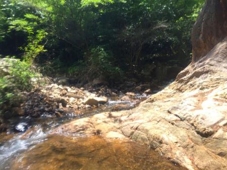 ここで分岐。本来ルートは左だが、鍋谷滝を見にいくので一旦右へ行った。ちなみにこの分岐は道標があた