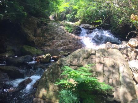鍋谷滝への登りは涼しい登りになった