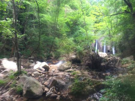 さっきの分岐まで戻ってルートへ戻る。すぐ二番目の堤防があるのでここも巻く。堤防の右側を登れそうだったが、林道あがったほうが楽そうだったので林道へ