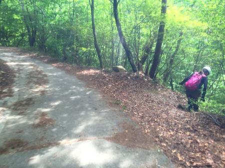 堤防を巻いてここから沢へ降りる