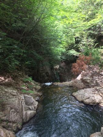 巻いてゴルジュを上から眺める