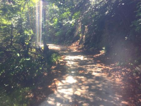 最後は林道を使って高速道路のようなスピードで有馬口へ戻ります