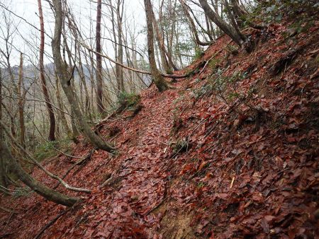 まずは尾根へ登っていくけど細くて落ち葉が濡れていて滑りやすい