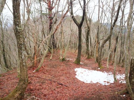 ちょこっと雪がでてきた。このパターンは標高があがると積雪になる可能性高いと思っていた