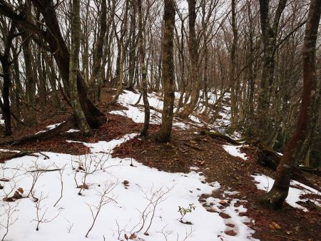 やはり積雪量が増えてきた。ちょっとした雪道なら歩ける靴を履いていてよかった