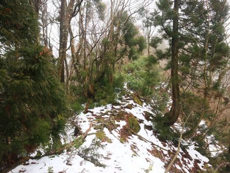 ここから少しの間は細尾根になって滑落注意なんだけど積雪がほとんどなかったのでよかった