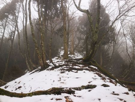ここから尾根の合流まで少し急登になるのでスローペースで登る