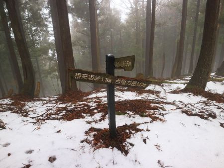 尾根の合流、分岐点。ここを右だけど最短ルートのおにゅう峠は左へ行く