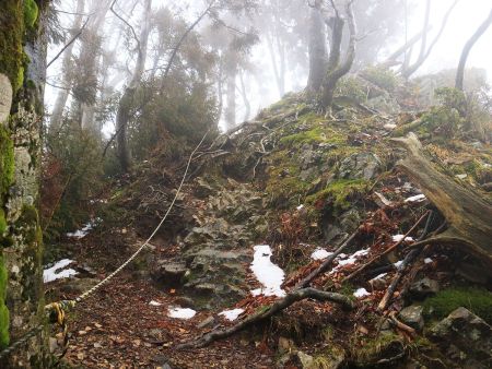 今回、唯一のロープと岩場の登り。この程度ならトラロープいらないんだけど親切に設置してくれている