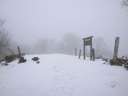 ちょっとした急登だったけどようやく百里ヶ岳山頂に到着。山頂は結構広くて山飯とかできそうな感じ