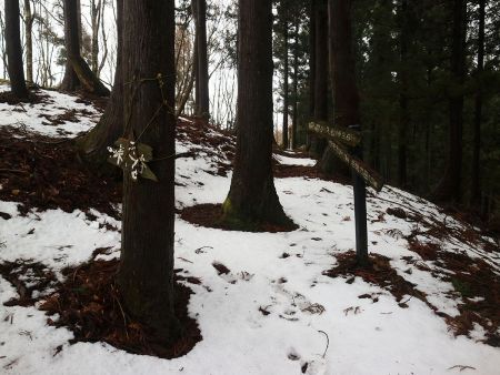 尾根の合流、分岐点に戻ってきた。下山はやっぱ早いな