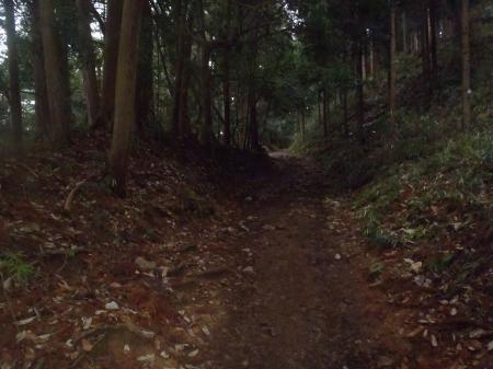 ドロドロの嫌な道