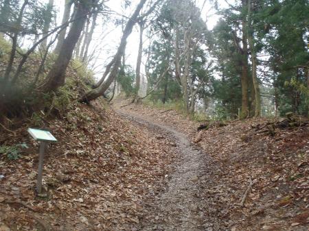 明るくなってきたので一合目はもうすぐ