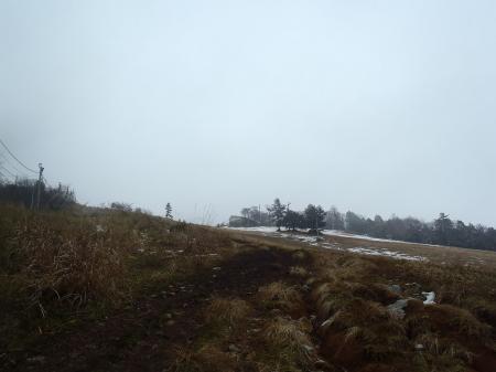 ここも積雪なし